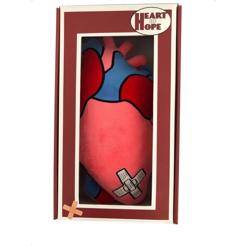 TANGDIAABBCC Heart of Hope - Stuffed Plush Anatomical Heart Pillow