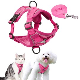 Arnés y Correa para Perros Gato,Pechera con 1.5M de Correa, Rosa, M                                                                                   