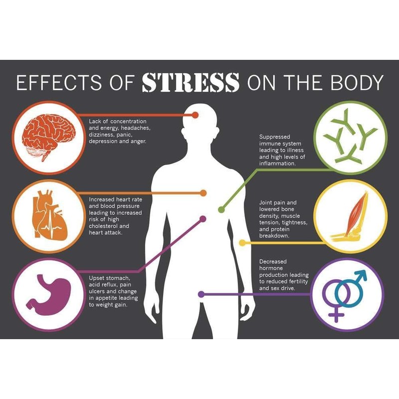 Stress to Calm - Natural Stress and Tension Relief. Fast