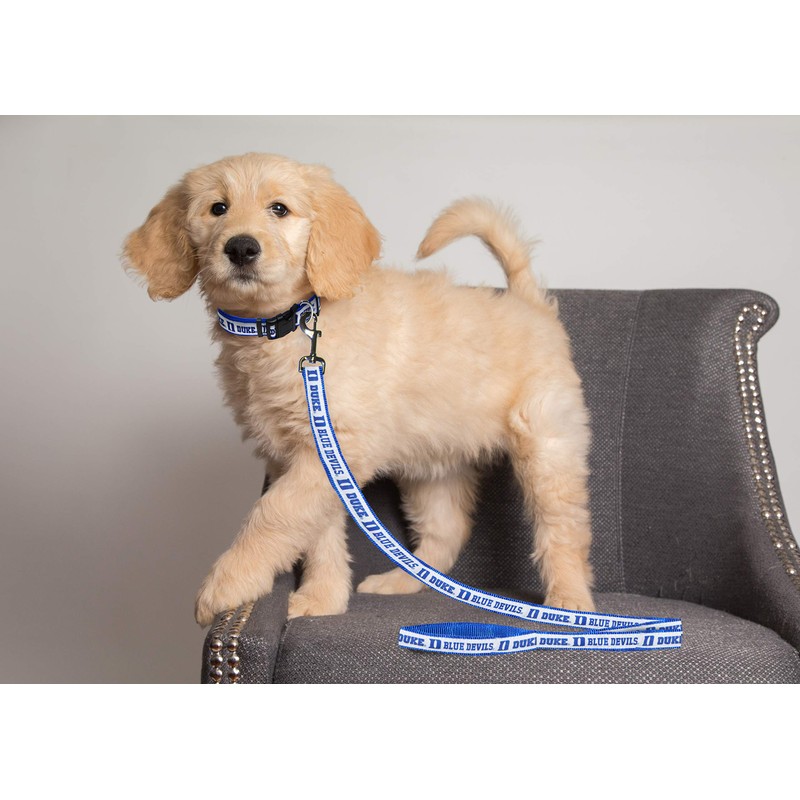 NCAA PET String, Large, Duke Blue Devils, Dog String, Shiny