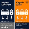 SEPOX 2-Pack Premium Solid Brass Padlock Keyed Alike, 1-9/16" 40mm