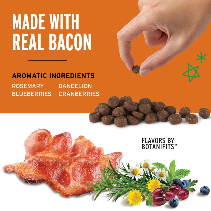 Pet Botanics Training Rewards Mini Treats For Dogs, Bacon, 4