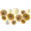 Ainmto Gold White Hanging Tissue Paper Pom Poms for Birthday
