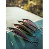 Countdown Elite 55 Gilded Rainbow Trout