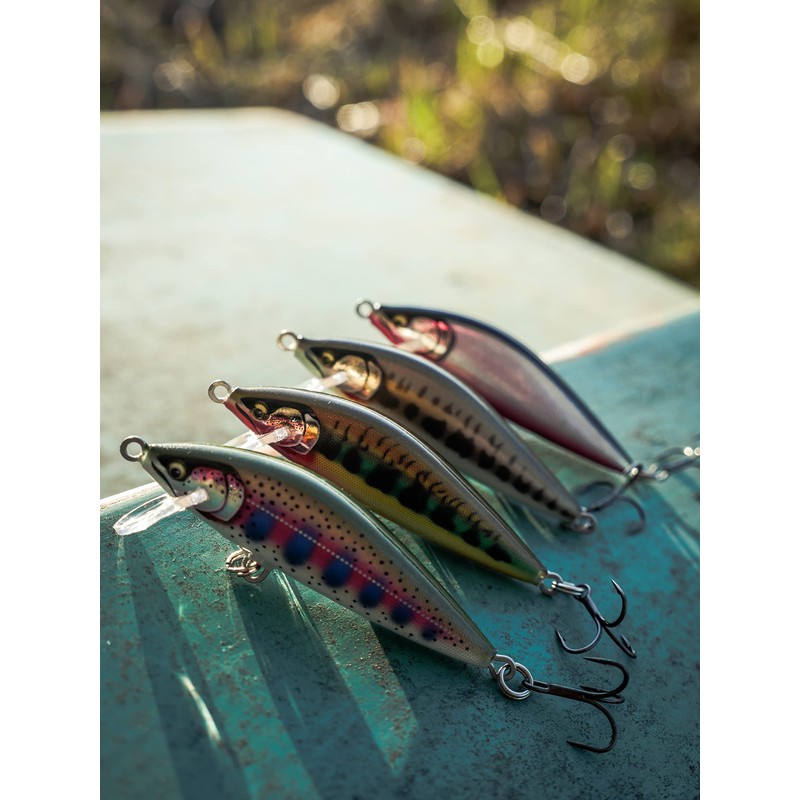 Countdown Elite 55 Gilded Rainbow Trout