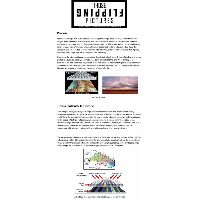 Unbranded Attack on titan,3D Poster,3D Lenticular Flip Effect,2 Images In