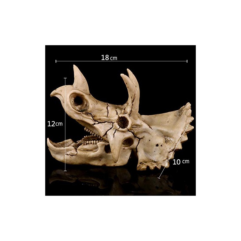 VOANZO Resin Triceratops Skull Model Replica, Dinosaur Tooth Skull Fossil,