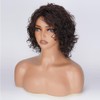 ZANPAL Dare Brown Bouncy Curls Wigs With Bangs Ginger 6inch