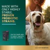 VetriScience Gut Health Chews, Probiotic Everyday Digestive Supplement for Dogs,