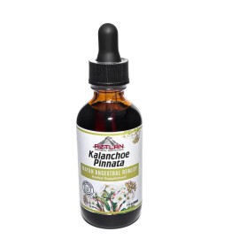 Kalanchoe Herbal Tincture 2oz Liquid Plant Extract Natural Botanical Supplement Antioxidant Support Wellness Dropper Herbal Extract Dietary Supplement