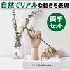 Fermoor Hand Mannequin Drawing Doll, Wooden Hand Model, Joints, Both