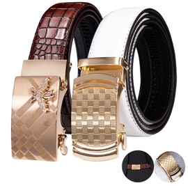 Dubulle Men's Designer Belt Set Leather 2PACKS Business Ratchet Automatic Buckles Casual Adjustable Strap Gift Box