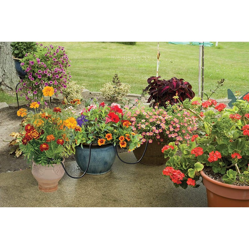 Raindrip R560DP Automatic Drip Irrigation Watering Kit with Customizable Timer