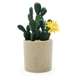 Allgala Small Desktop Artificial Succulent Plant with Natural Clay Pot