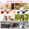 Adjustable Anti Bark Muzzle for Small Dogs - Breathable Mesh