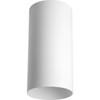 Progress Lighting 6-Inch Cylinder Outdoor Ceiling Light, 1-Light Modern Flush