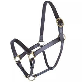 Schneiders Premier Lancaster Fixed Throat Leather Halter | Havana | Various Size - Full Size