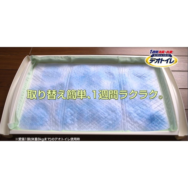 Deotoire Week-Long Deodorizing Anti-Bacterial Sheet (10 sheets), None