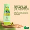 Dabur Vatika Naturals Shampoo and Conditioner Set (Olive) - 400