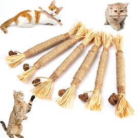 Katzenminze Sticks,6 Stück Katzenminze Sticks, Cat Chewing Toy，Katzenminze Spielzeug，Katzen Zahnpflege Spielzeug，Katzen Zahnpflege Spielzeug，helfen bei Zahnstein，Mundgeruch Gesund Hygiene Zahnpflege