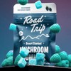 Road Trip Mushroom Gummies - Nootropic - 20:1 Lions Main