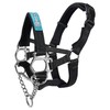 Big Dog Styles Head Collar. Made in UK for Large