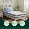 ZINUS 6 Inch Spring Sensation Hybrid Mattress [New Version], Medium