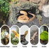 BNOSDM Reptile Hideout Rock,Tortoise Hide Cave,Resin Rock,Lizards Hideaway,Turtle Basking Platform,Reptiles