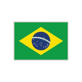 Womaha 30 Sheets Temporary Brazil Flag Tattoos for Kids Adults Fans Fake Face Tattoo Stickers