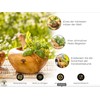 SOLTAKO The Sicilian Mortar and Pestle Set 12 cm