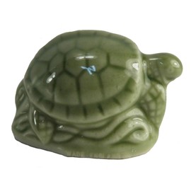 Wade Green Sea Turtle from England