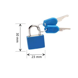 5 PCS Luggage Locks Suitcase Locks with Keys Small Suitcase Padlocks Mini Keyed Padlocks Coloured Travel Lock for Luggage Lock Backpack Gym Locker Laptop Bag School Outdoor Travel