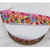 Unbranded Grosgrain Ribbon 1.5” Back To School Pencil Backpack Books