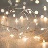 Lights4fun Christmas Indoor USB Fairy String Lights 100 Warm White