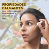 Hebbe - Aceite de Chabacano 100% Puro, Hidratante y Antiinflamatorio