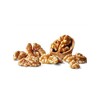 Exotic Nutrition Raw Walnuts | Unsalted, No Shell | for