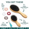 Natural Boar Bristle Hair Brush & Mini Hair Brush Set