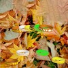 OriniPlay 48PCS Hallo Fall Party Rubber Bracelets Happy Autumn Thanksgiving