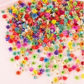 1150 PCS Small Dried Flowers for Crafts - Mini Dried Flowers for Resin, Tiny Natural Real Dried Pressed Flowers Bulk for DIY Jewelry Earrings Epoxy Molds, Candles Soap Making