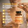 Humanimo Focus Suplemento Alimenticio Natural Mejorar Memoria Concentración Enfoque Teanina