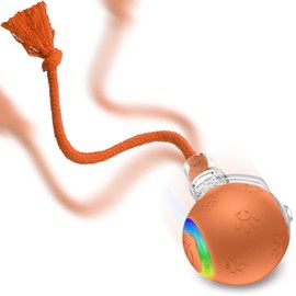 Smart Interactive Cat Ball Toy, Automatic Moving Ball Toy for Indoor Cats, Fast Rolling on Carpet, Chirping & Motion-Activated Cat Toys, Fun Gift for Cats with Light, USB Rechargeable, Orange