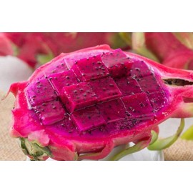 100 PCS Seeds Pitaya Bonsai Tree Plants Dragon Fruit Garden Red Meat Pitaya Seeds