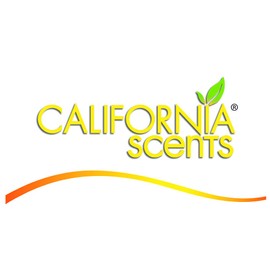California Scents AC CS Ambientador Coche Palmera Papel 1UD Ola Oceano