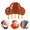 Sandalwood Massage Comb Wide Tooth Scalp Scraping Comb with Nose