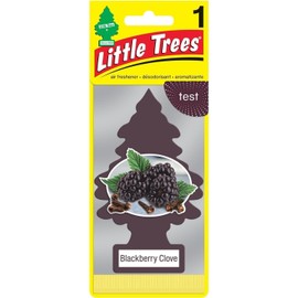 Little Trees BlackBerry Clove 24 Pack