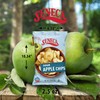 Seneca Sour Apple Chips | Made from Fresh Apples |