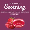 HALLS Throat Soothing (Previously HALLS Breezers) Cool Berry Sugar Free