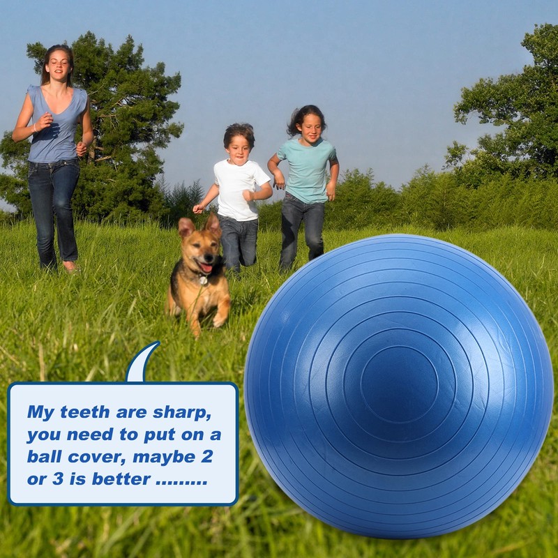 Herding Ball for Horse, 40" Anti-Burst Giant Soccer Ball Toy