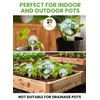 Plant Watering Globes Plastic Set of 4 - Automatic Plant
