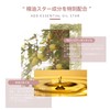 DSMDAISIMAN Hairline Powder: Hair Shadow Cha Brown Pom Type Hairline